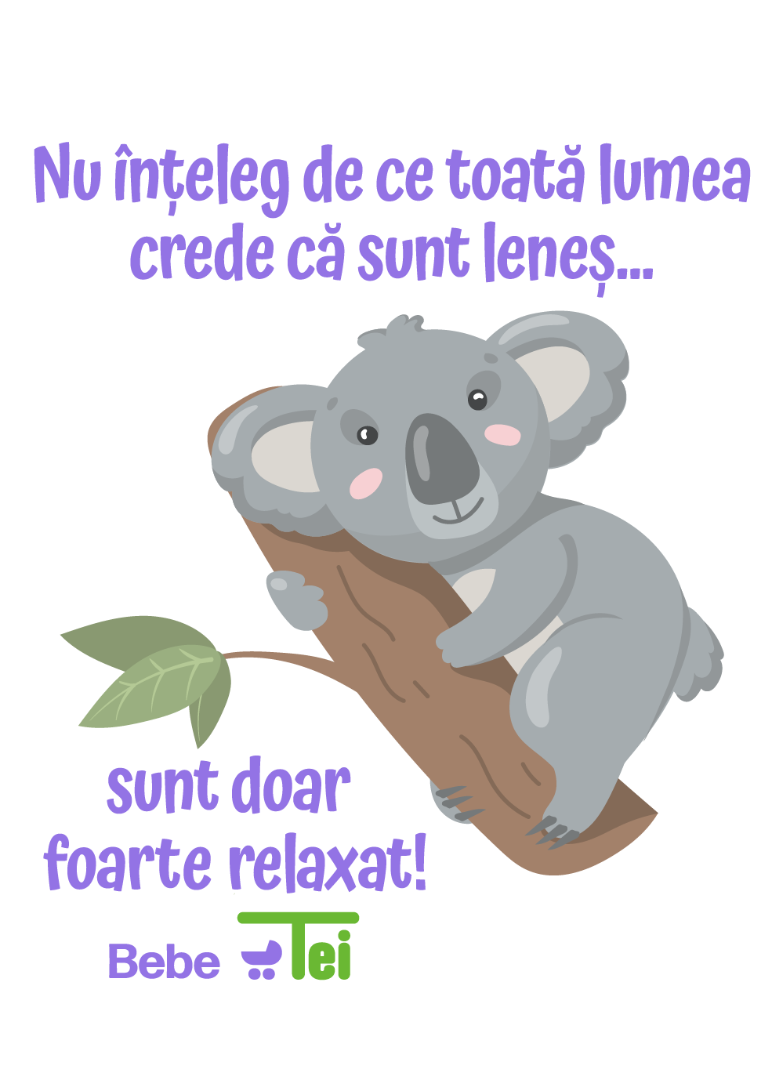 Koala Being Cute